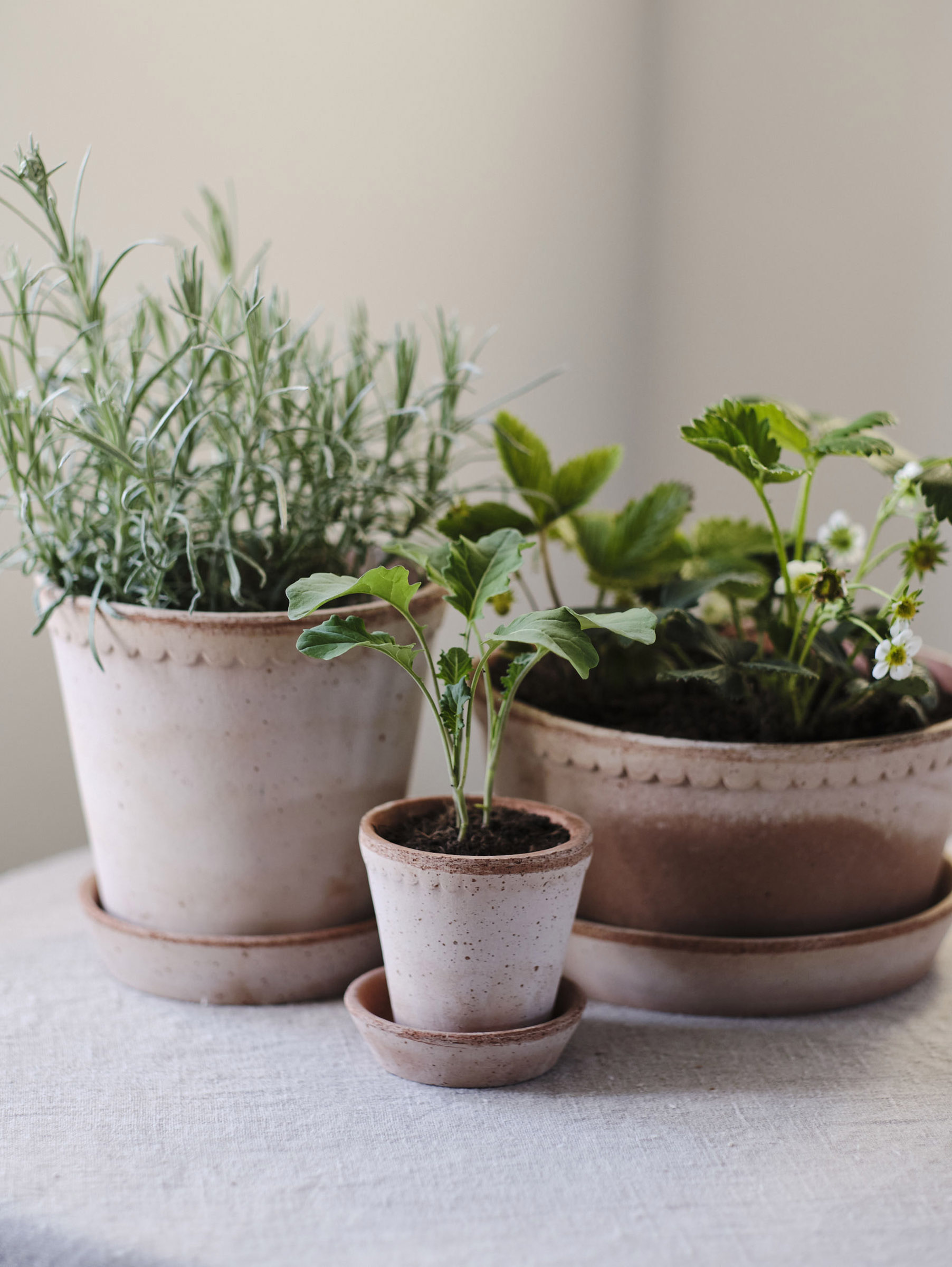 Helena Pflanztopf Raw Ø21 cm Niedrig - Rosa