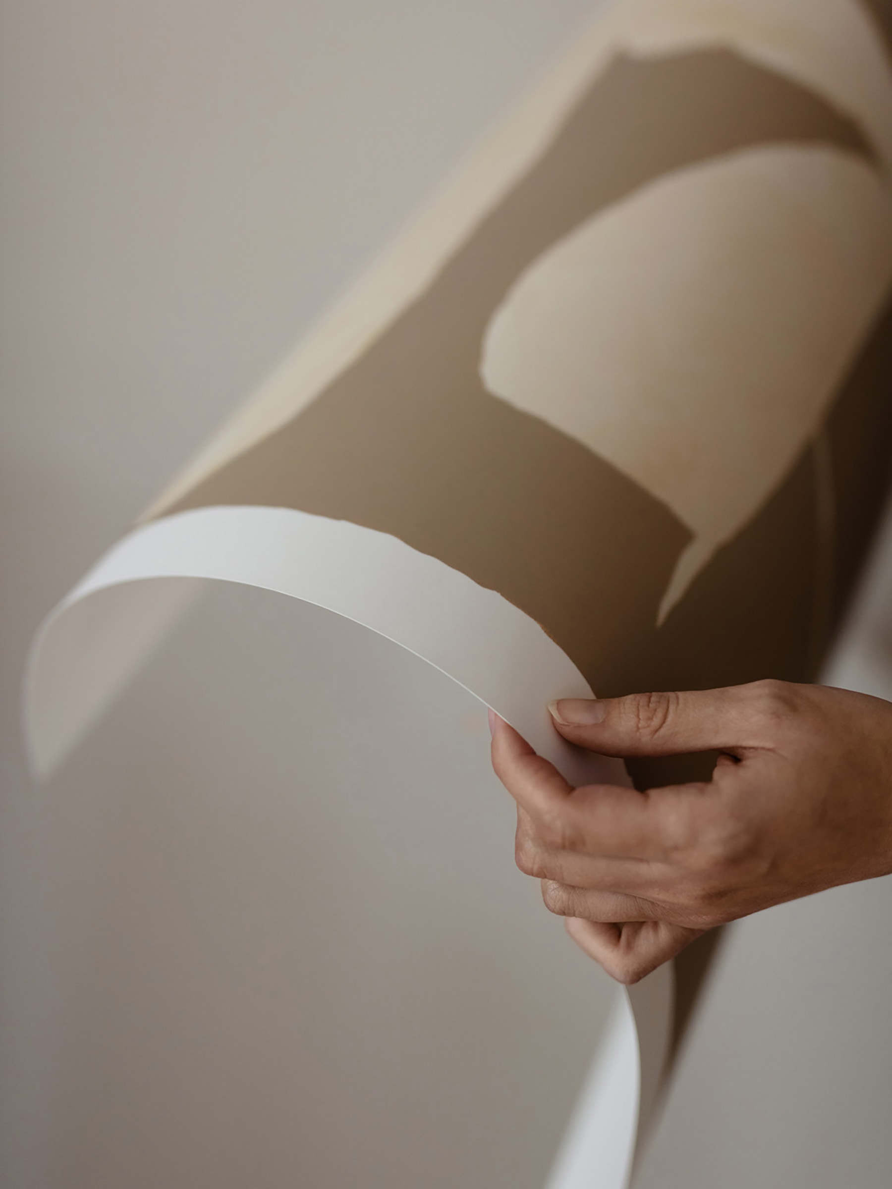 Leise Dich Abrahamsen The Clearing  50x70