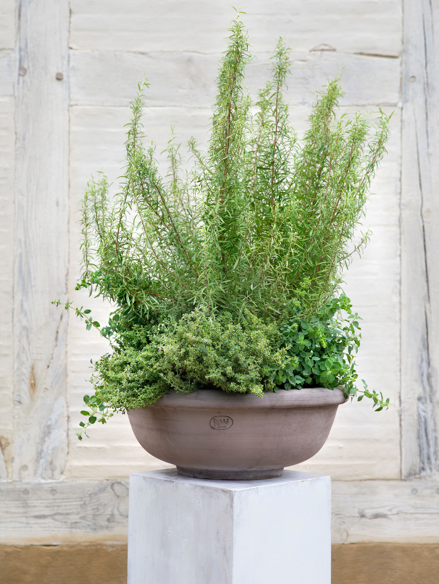 Erbe Pflanztopf Raw Grau Ø 45 cm, Bowl