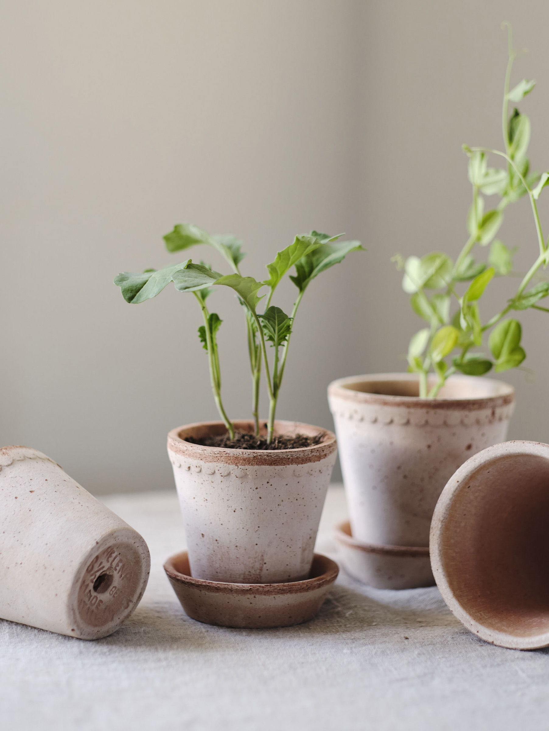 Helena Pflanztopf Raw Ø8,5 cm - Rosa