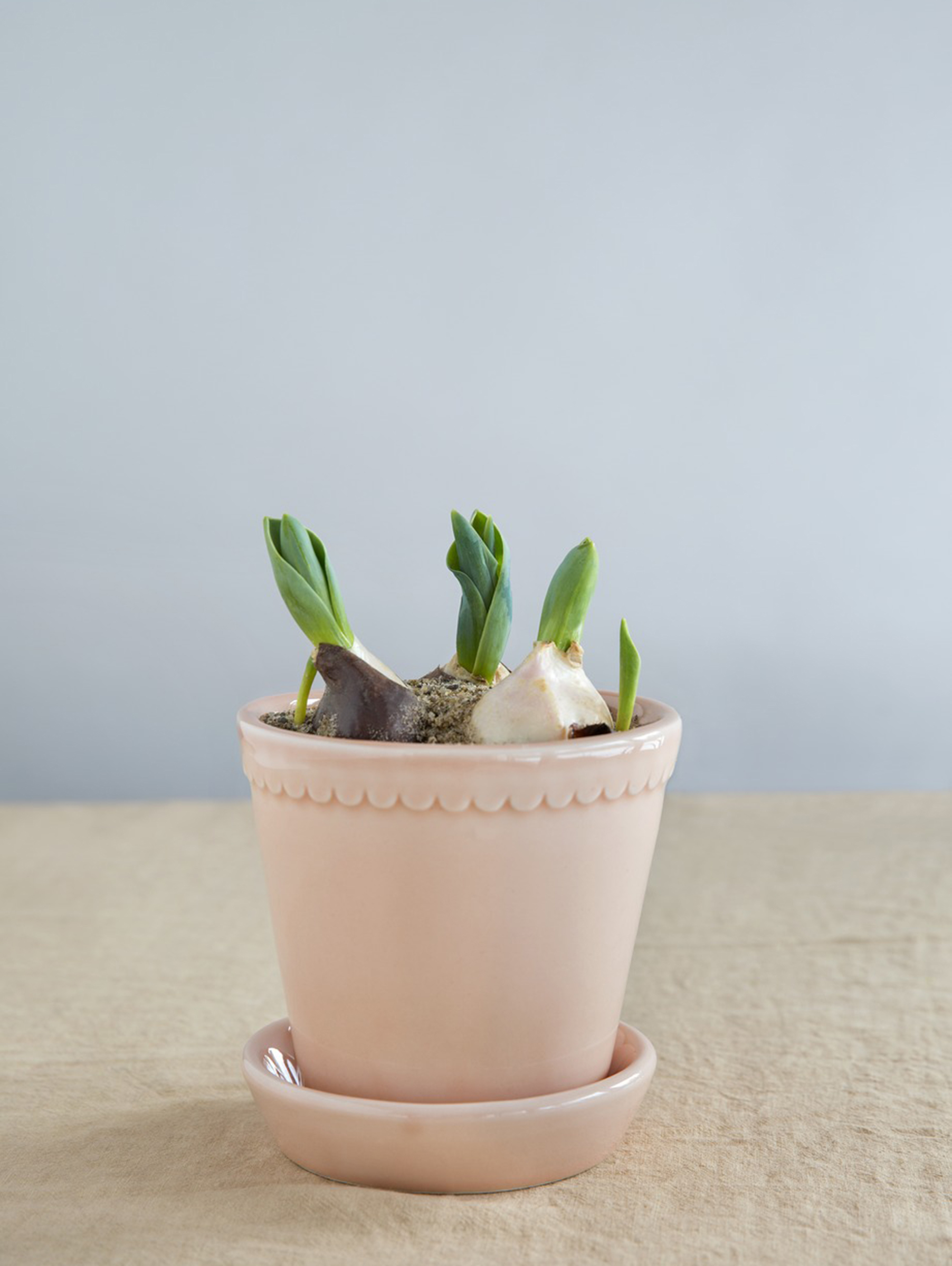 Helena Glasierter Übertopf Ø16 cm - Quartz Rose