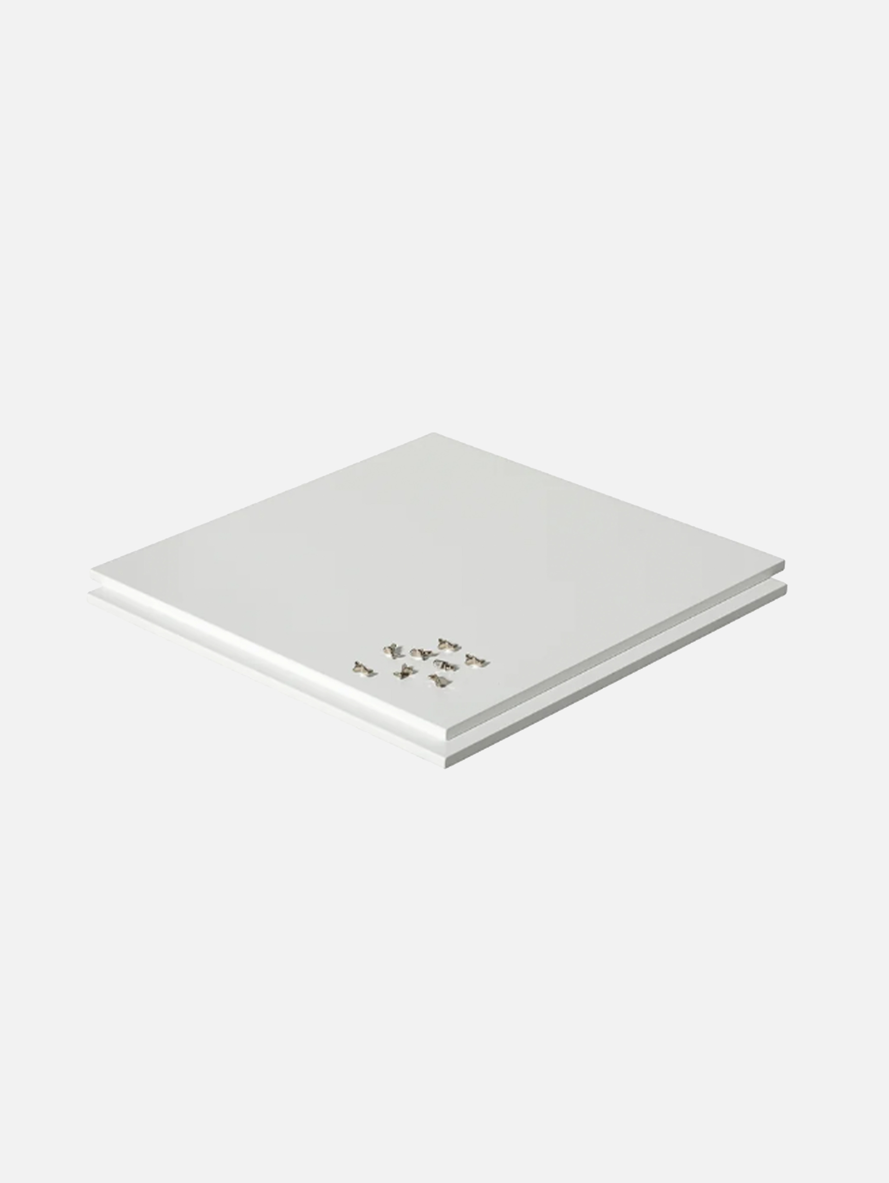 Wood Extra Einlegeböden, 2 Stück