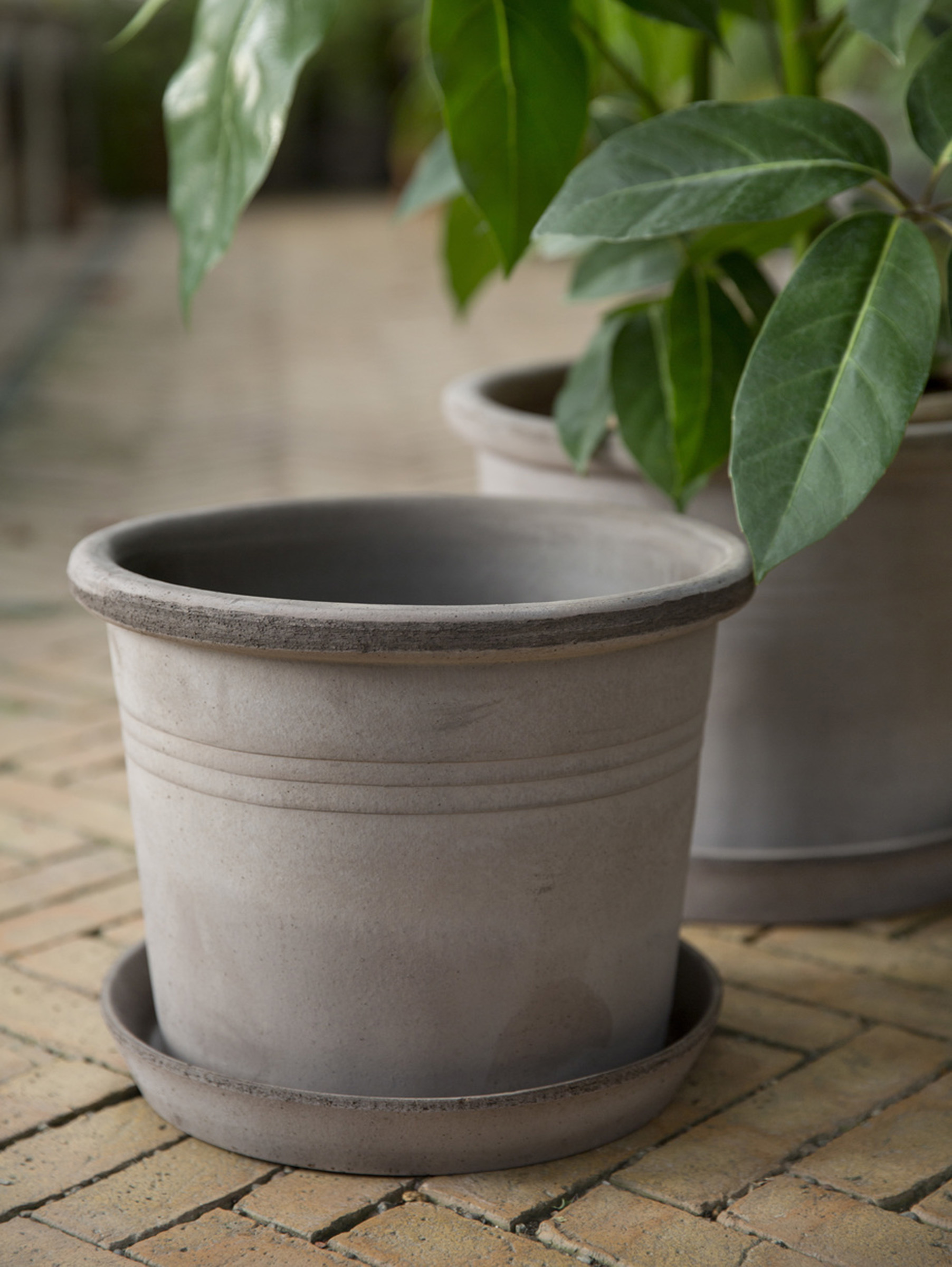 Galestro Pflanztopf Raw Ø30 cm - Grau