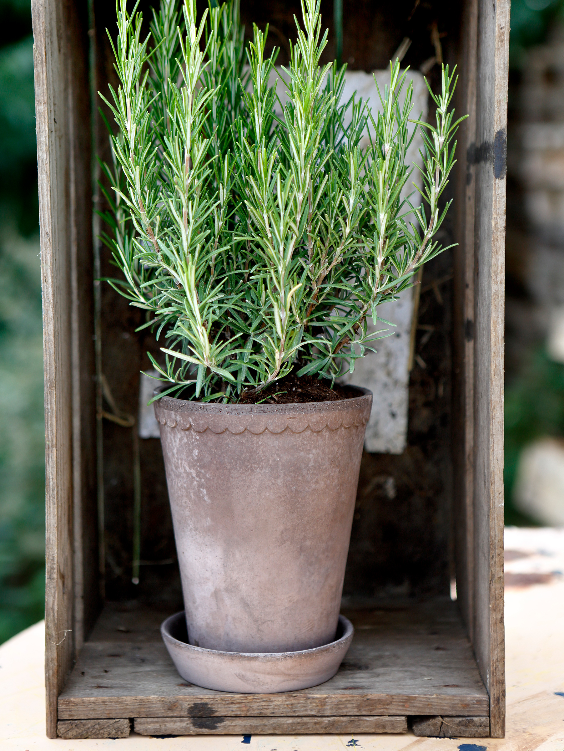 Helena Pflanztopf Raw Grau Ø 14 cm - Hoch