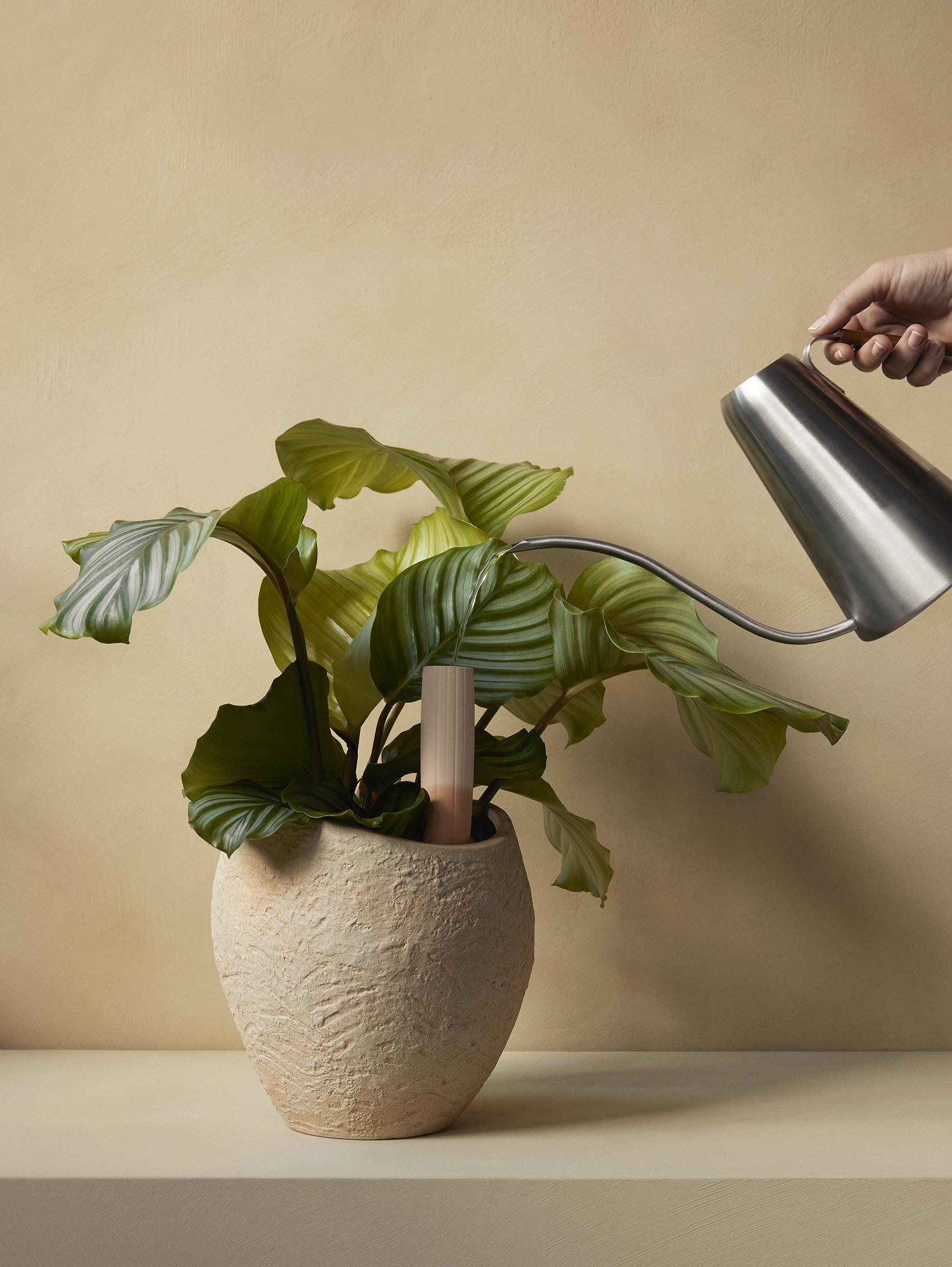 Hydrous 2er Set Wässerung Stäbe H36 cm