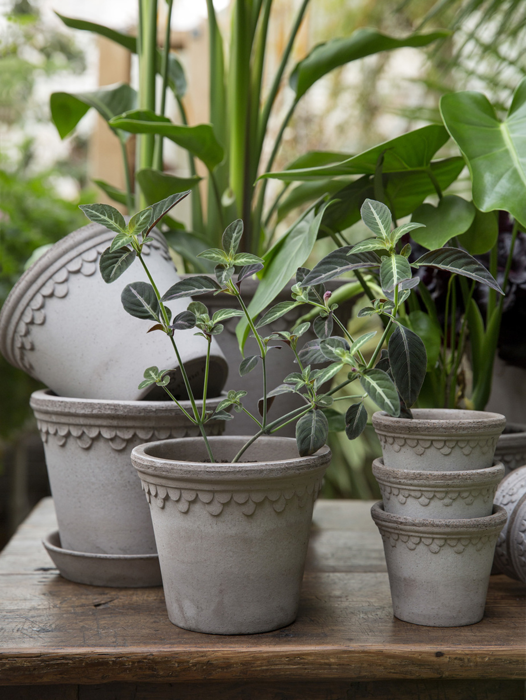 Københavner Pflanztopf Raw Ø25 cm - Grau