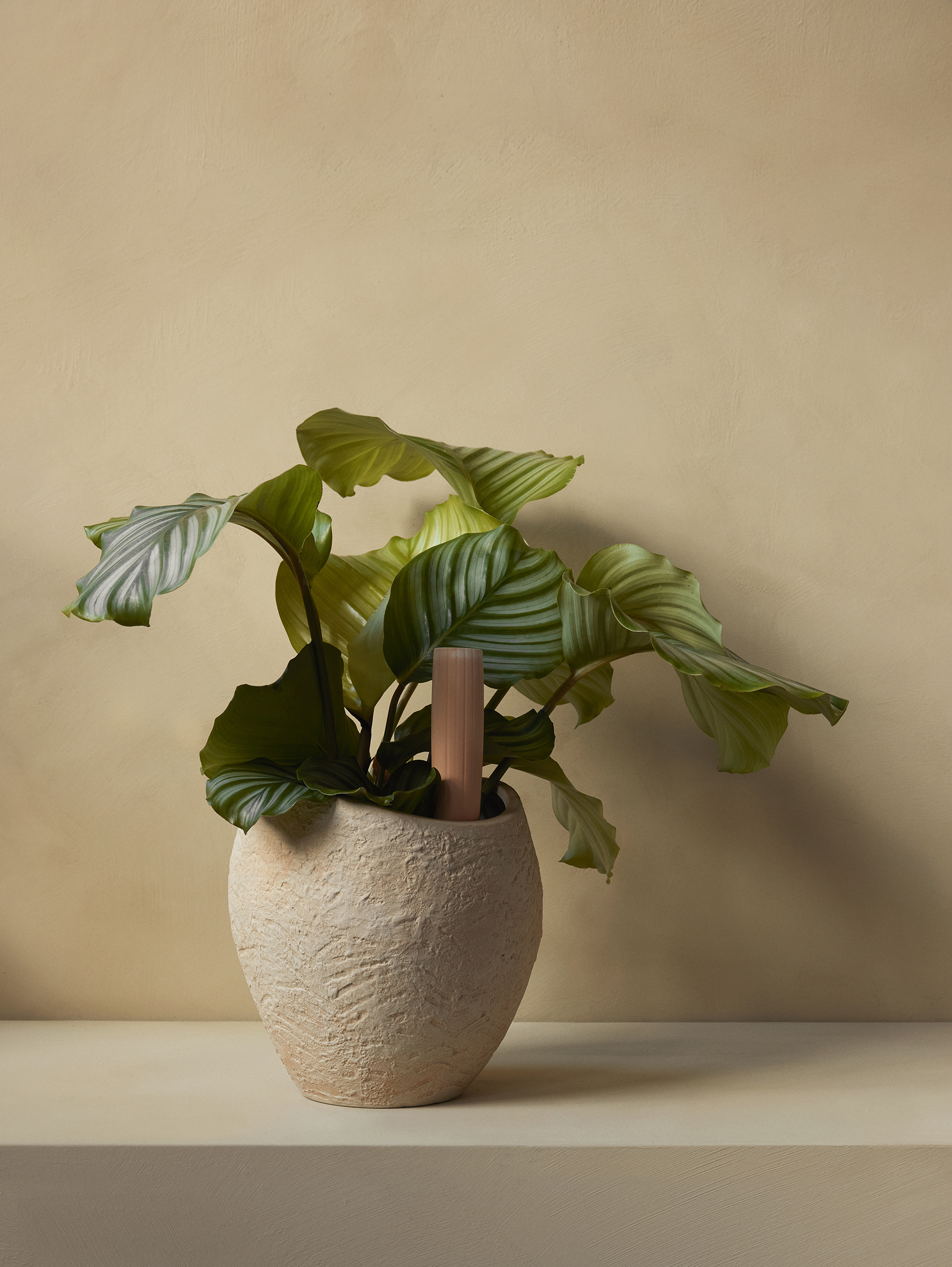 Hydrous 2er Set Wässerung Stäbe H36 cm