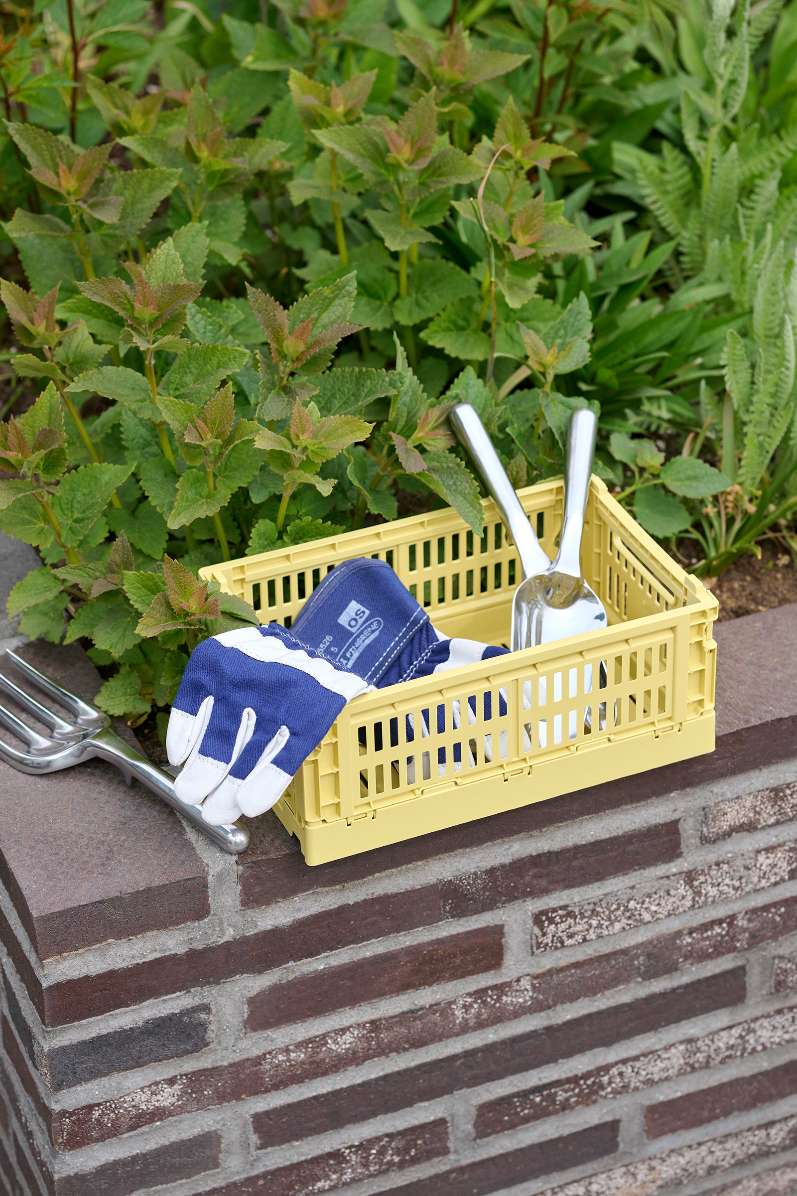 Crate Farbkiste Small Golden yellow