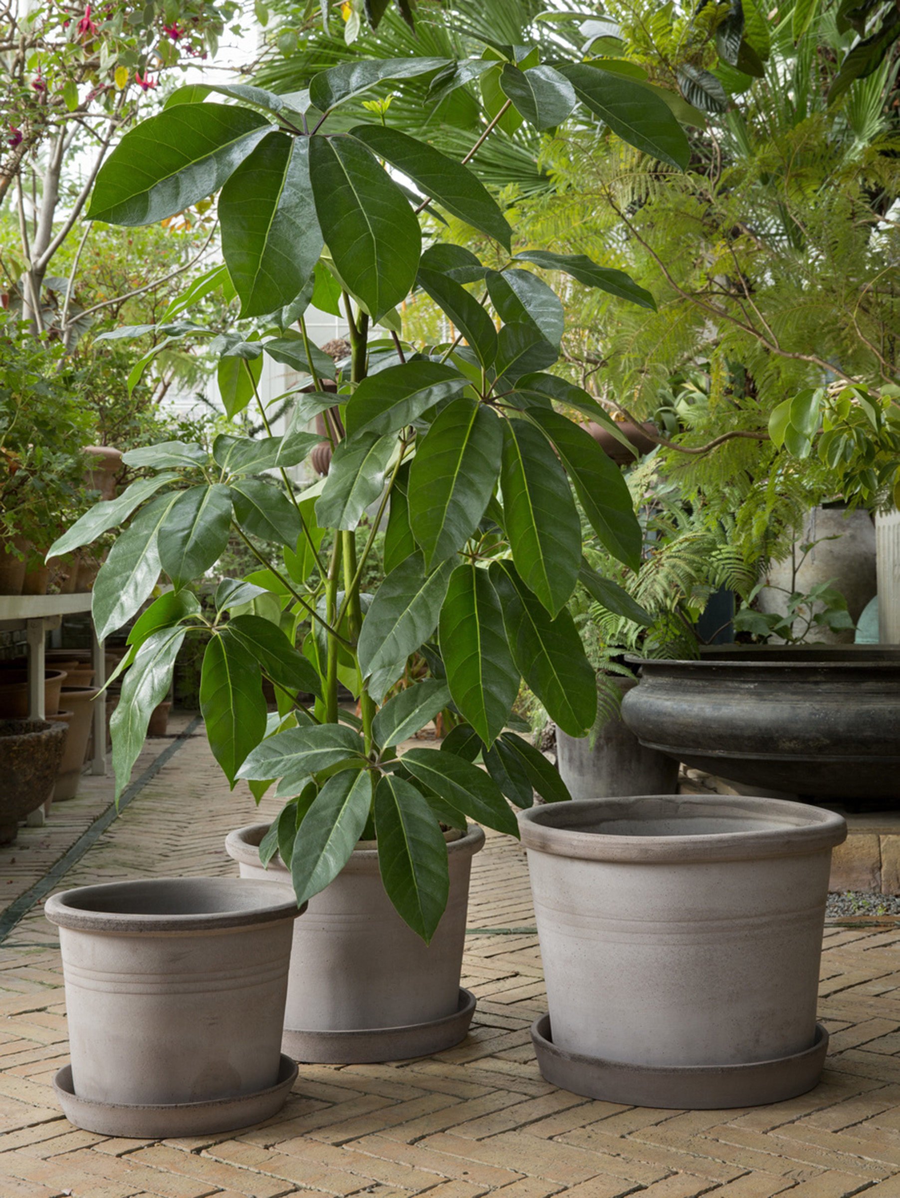 Galestro Pflanztopf Raw Ø30 cm - Grau