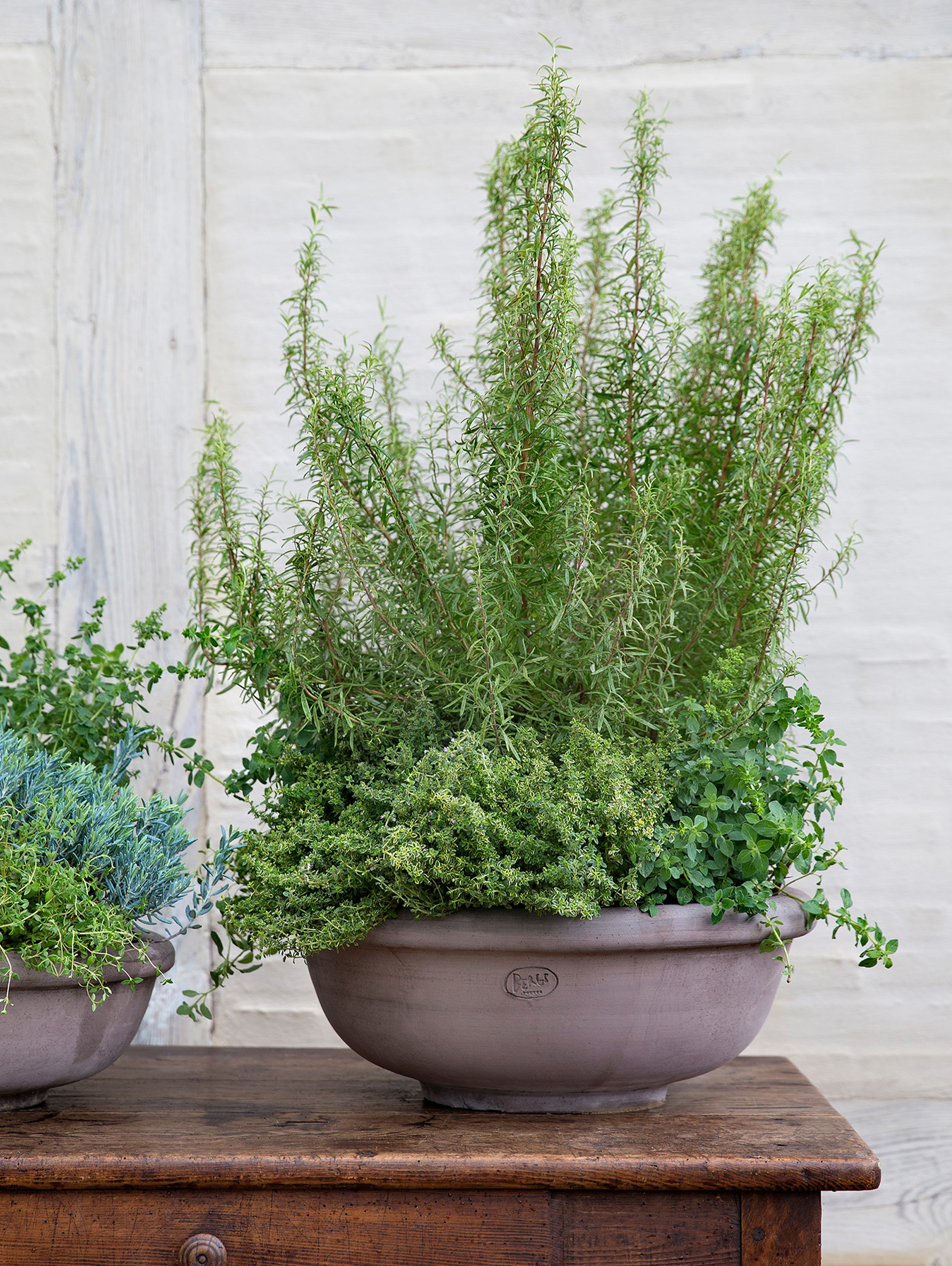 Erbe Pflanztopf Raw Grau Ø 45 cm, Bowl