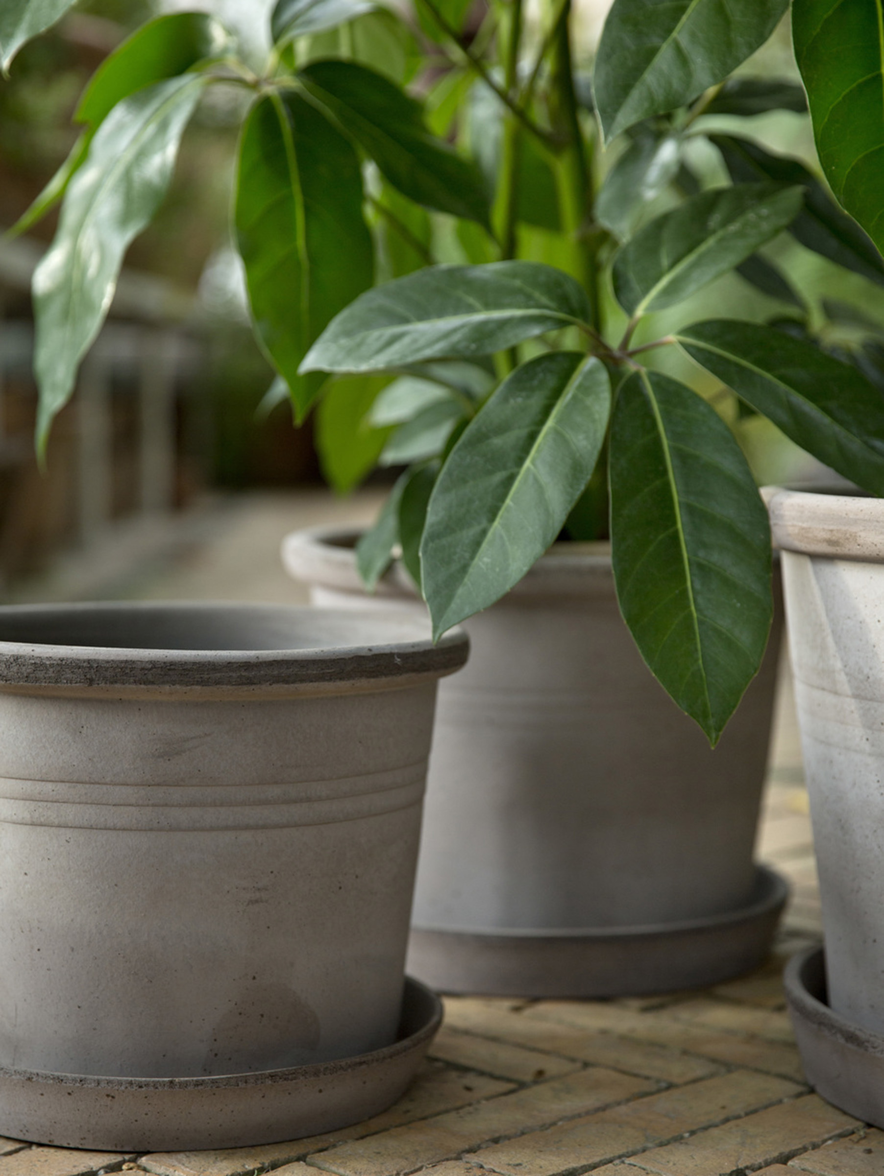 Galestro Pflanztopf Raw Ø30 cm - Grau