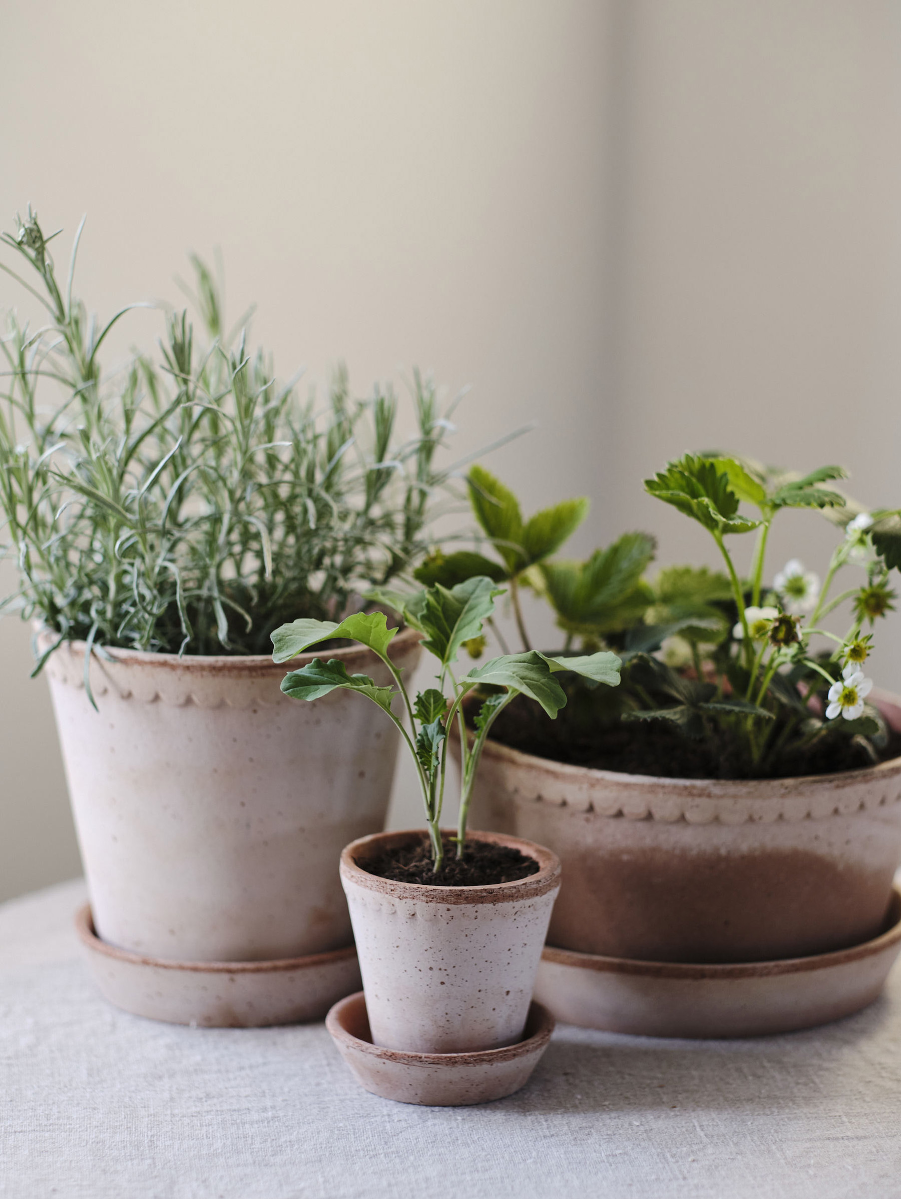 Helena Pflanztopf Raw Ø8,5 cm - Rosa