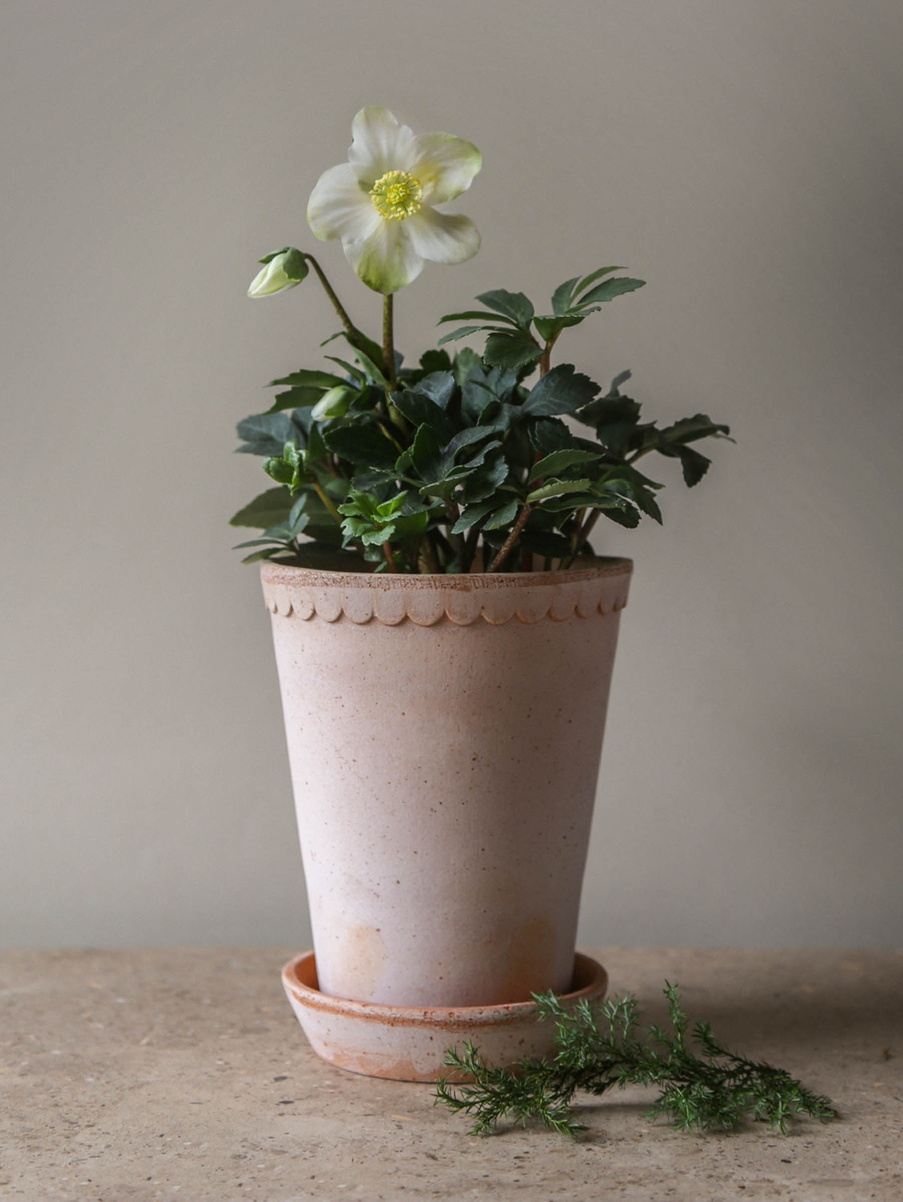 Helena Pflanztopf Raw Ø14 cm Hoch - Rosa