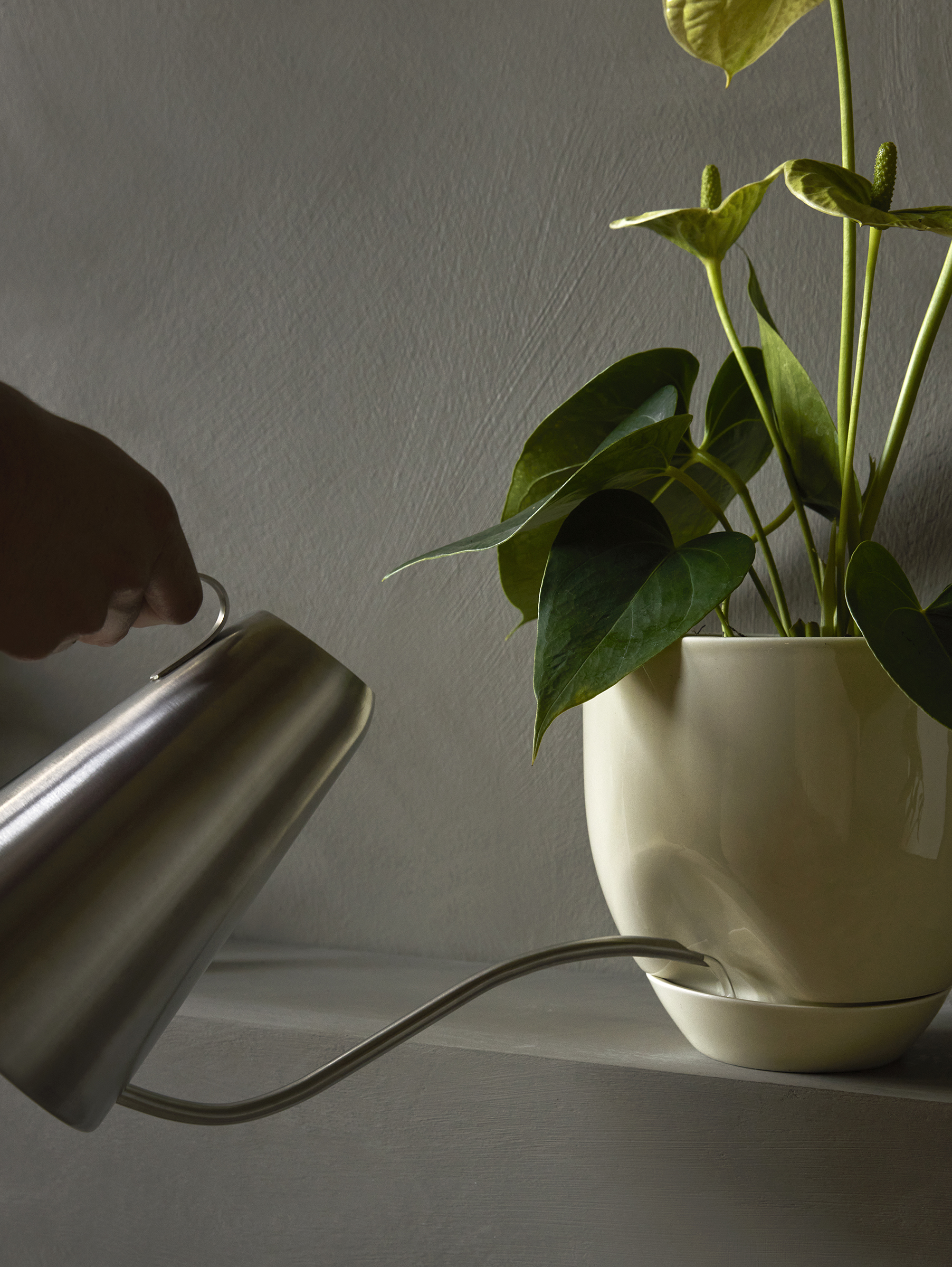 Hydrous Übertopf Ø12 - Ashen