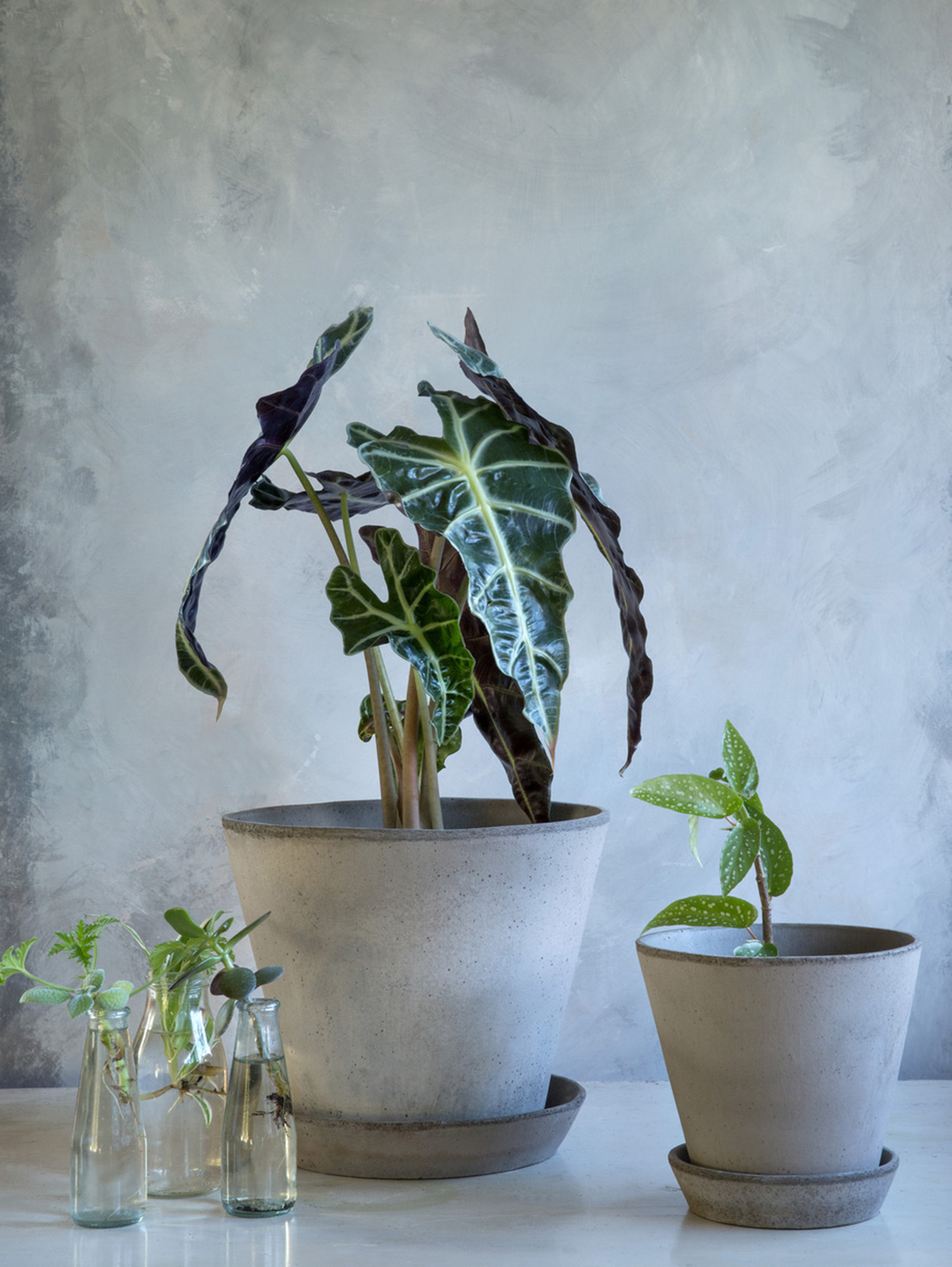 Julie Pflanztopf Raw Ø12 cm - Grau