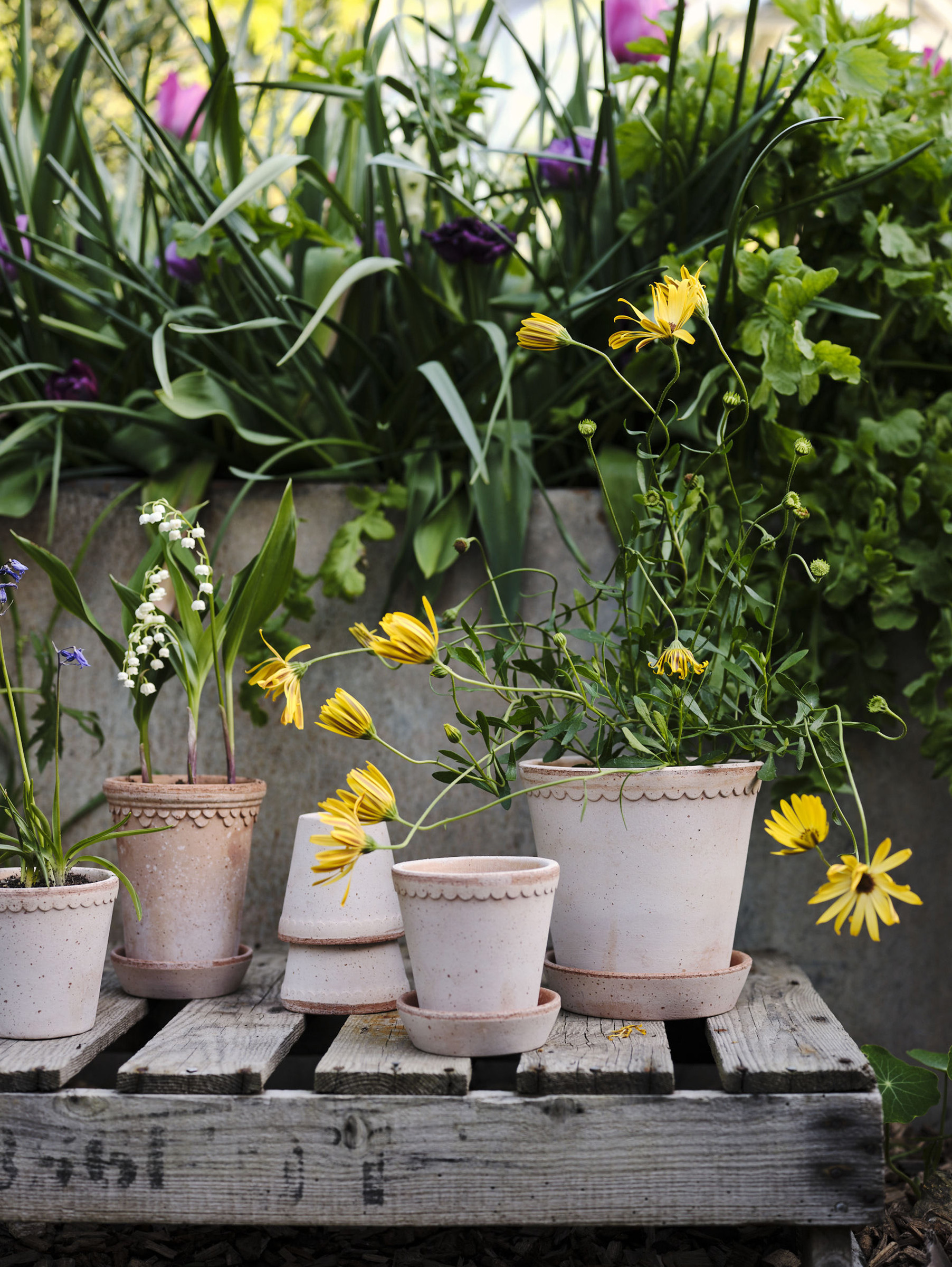 Helena Pflanztopf Raw Ø10 cm - Rosa