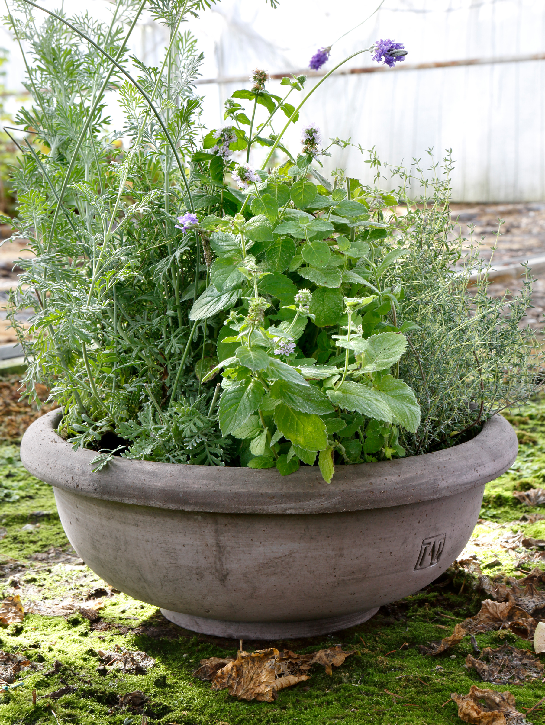 Erbe Pflanztopf Raw Grau Ø 45 cm, Bowl